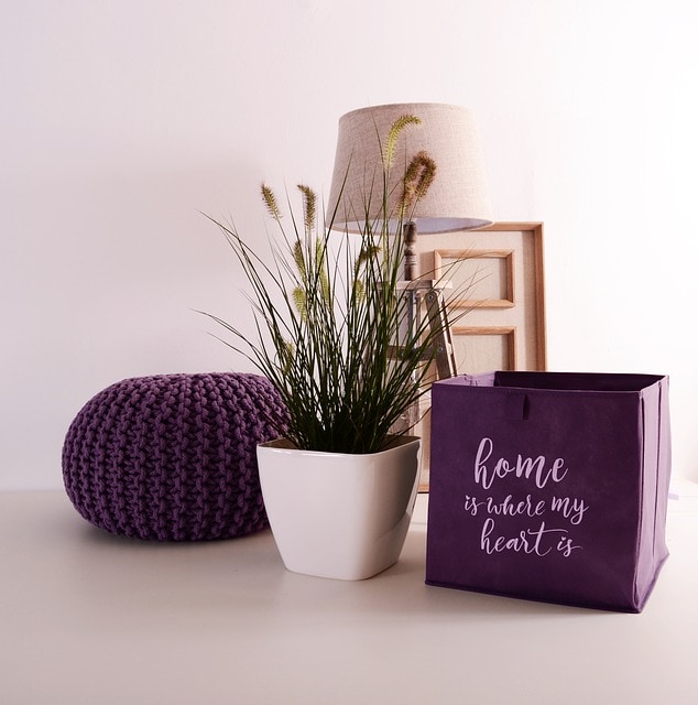 Indoor Plant with Purple Accessories