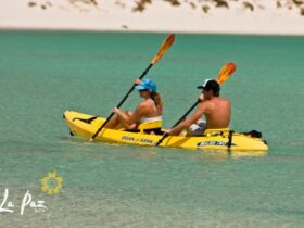 Travel to La Paz, Mexico