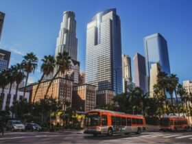 5 Experiences To Try When On Vacation in L.A #beverlyhills #beverlyhillsmagazine #vacationinL.A #DisneyCaliforniaAdventure #HollywoodBowl #SantaMonicaBeach