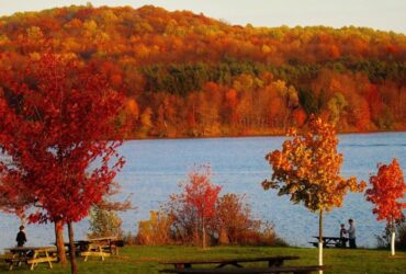 5 Fantastic Scranton Pennsylvania Attractions for Weekend Trips #beverlyhills #beverlyhillsmagazine #outdooractivities #weekendgetaway #weekendtrip #scrantonpennsylvania