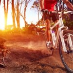 6 Best Coastal Bike Rides in Los Angeles #beverlyhills #beverlyhillsmagazine #beautifuloceanviews #beautifulocean #reveiwing.