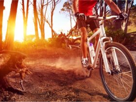 6 Best Coastal Bike Rides in Los Angeles #beverlyhills #beverlyhillsmagazine #beautifuloceanviews #beautifulocean #reveiwing.