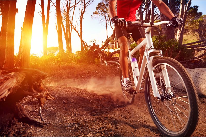 6 Best Coastal Bike Rides in Los Angeles #beverlyhills #beverlyhillsmagazine #beautifuloceanviews #beautifulocean #reveiwing.
