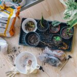 6 Interesting Things You Didn't Know About Gardening #beverlyhills #beverlyhillsmagazine #outdoorspace #typesofgarden #gardendecor #gardening