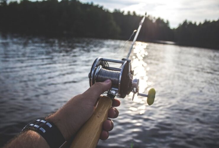 6 Things To Know If You Want To Start Fishing #beverlyhills #beverlyhillsmagazine #bevhillsmag #seawaterfishing #startfishing #fishingspot #fishingconservation