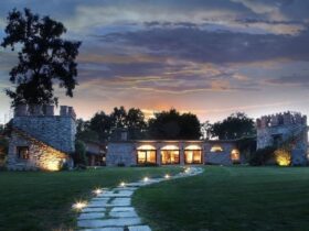 6 Ways to Decorate Your Home in Style #beverlyhills #beverlyhillsmagazine #decorateyourhome #homeplants #bostonfern #stylishhome #styleyourhome #decorateindoorsandoutdoors