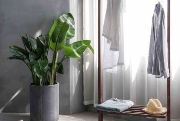 6 Ways to Tell If Your Clothes are Truly Sustainable #beverlyhills #beverlyhillsmagazine #organiccotton #sustainablefashion #thriftshop #naturalfibers