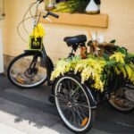 7 Uncommon Benefits of Riding a 3-Wheel Bike for Adults  #beverlyhills #beverlyhillsmagazine #tricycle #two-wheeledbike #bikeriding #bicycles #3-wheeledbike #electricbike #cycling #bikemodels