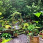 8 Things To Keep In Mind When Decorating Your Backyard #beverlyhillsmagazine #beverlyhills #decoratingyourbackyard #functionalbackyard #renovateyourbackyard #tidybackyard