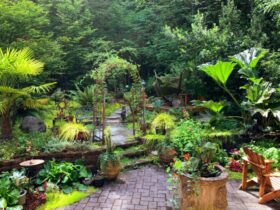 8 Things To Keep In Mind When Decorating Your Backyard #beverlyhillsmagazine #beverlyhills #decoratingyourbackyard #functionalbackyard #renovateyourbackyard #tidybackyard