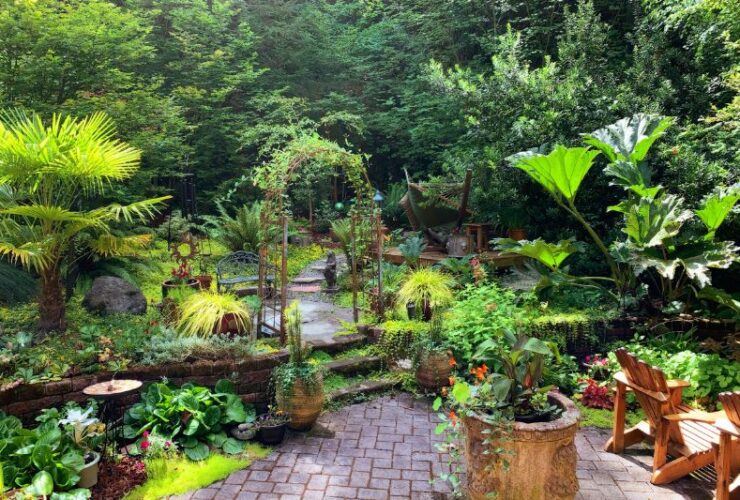 8 Things To Keep In Mind When Decorating Your Backyard #beverlyhillsmagazine #beverlyhills #decoratingyourbackyard #functionalbackyard #renovateyourbackyard #tidybackyard