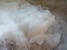 A Comprehensive Guide: Applications of Thermal Shipping in Various Industries #beverlyhills #beverlyhillsmagazine #thermalshipping #medicalindustry #foodandbeveragesector #preservingfreshness #dairyproducts #hortiiculturemarket