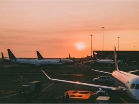 Advantages of Business Class Flights #beverlyhills #beverlyhillsmagazine #travelvacation #businessclassflight #vacationtravel #traveladvisor