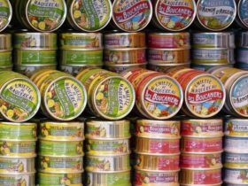 Best Canned Food Brands in the World #canned food #canned food brand