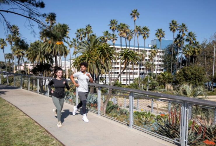 Beverly Hills Bliss: Your Must-Do Guide After Moving to the Heart of Luxury #beverlyhills #beverlyhillsmagazine #healthylifestyle #luxuriousvibe #healthandwellnessgoal #lifestyleupgrade