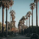 Beverly Hills Startup: Company Culture and Entrepreneurship #beverlyhills #beverlyhillsmagazine #bevhillsmag #businessstrategy #entrepreneurship #startup #lifestylebrand #digitalstrategy