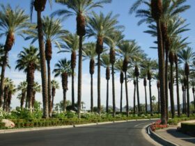 Exploring Southern California's Sober-Friendly Outdoor Spaces #beverlyhills #beverlyhillsmagazine #southerncalifornia #breathtakinglandscapes #beautyofnature #sober-friendlyoutdoorspaces #embraceyoursobriety