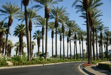 Exploring Southern California's Sober-Friendly Outdoor Spaces #beverlyhills #beverlyhillsmagazine #southerncalifornia #breathtakinglandscapes #beautyofnature #sober-friendlyoutdoorspaces #embraceyoursobriety