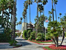 Get Ready for Fall in Beverly Hills #beverlyhills #beverlyhillsmagazine #bevhillsmag #fallinbeverlyhills #tripinbeverlyhills #healthtips #decorateyourhome