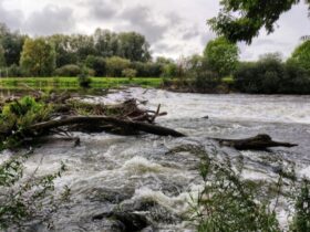 How To Clean Up Your Property After A Flood #beverlyhills #beverlyhillsmagazine #cleaningsolution #cleaningyourhome #flood #makeyourpropertysafe #bevhillsmag