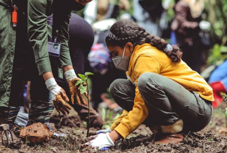 How To Get Started With Memorial Tree Planting #beverlyhills #beverlyhillsmagazine #memorialtreeplanting #reforestation #meaningfulgesture