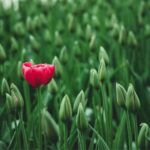 How To Make Your Business Stand Out #beverlyhills #beverlyhillsmagazine #bevhillsmag #businessindustry #competitivemarketing #sustainblecompetitiveadvantage #successfulbuisness