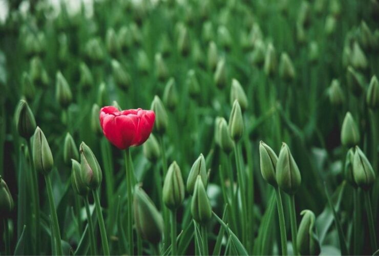 How To Make Your Business Stand Out #beverlyhills #beverlyhillsmagazine #bevhillsmag #businessindustry #competitivemarketing #sustainblecompetitiveadvantage #successfulbuisness