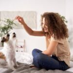 How To Start Your Lab Puppy Training #beverlyhillsmagazine #beverlyhills #bevhillsmag #labpuppytraining #trainyourpuppy #takingcareofyourpuppy