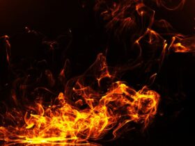 How to Outsmart Wildfires in Beverly Hills #beverlyhills #beverlyhillsmagazine #wildfires #propertyprotection #safeguardyourfamily #smokedetectors