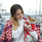Beverly Hills Magazine How to house train a Chihuahua