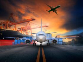 Import and Export: What Does Australia Classify as Objectionable Goods? #beverlyhills #beverlyhillsmagazine #internationaltradeinaustralia #customsbrokerinbrisbane #locallaws #importersandexporters