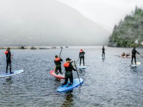 Important Things To Consider Before Paddle Boarding #beverlyhills #beverlyhillsmagazine #paddleboarding #watersport #preventinjuries