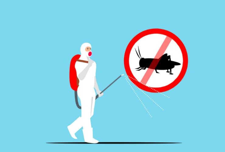 Maintaining a Pest-Free Haven: Strategies for Homeowners #beverlyhills #beverlyhillsmagazine #pest-freesanctuary #safeandhealthyenvironment #combatmosquitoes