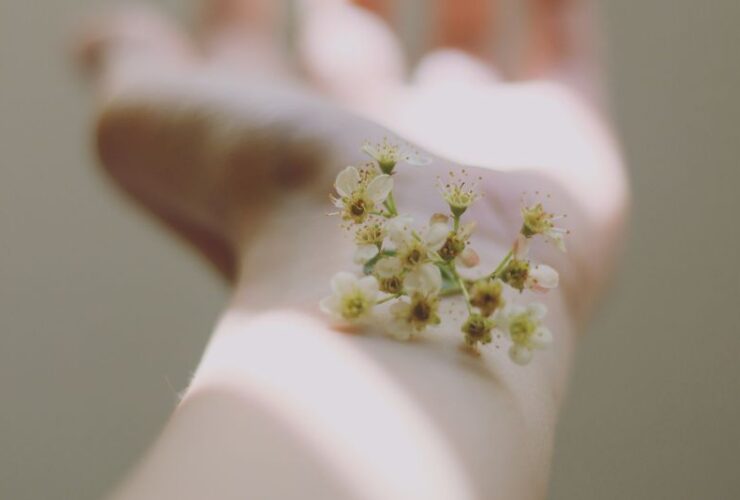 Nipping Cellulite in the Bud #beverlyhills #beverlyhillsmagazine #boostskinradiance #cellulite #healthydiet