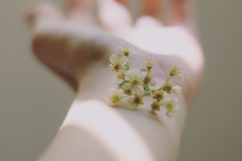 Nipping Cellulite in the Bud #beverlyhills #beverlyhillsmagazine #boostskinradiance #cellulite #healthydiet