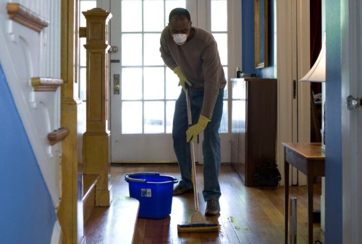 Pest Inspection Checklist: 6 Signs Your Home May Be at Risk #beverlyhills #beverlyhillsmagazine #pestinfestation #inspectyourhome #unwantedpestinvasion #pestcontrolservices