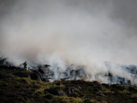 Beverly Hills Magazine Protecting Your Home from Wildfires