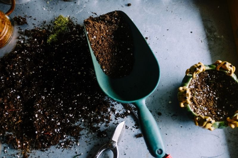 Reasons Why You Might Want To Start Gardening #beverlyhills #beverlyhillsmagazine #bevhillsamag #gardening #gardeningtools #horticulture #properdiet