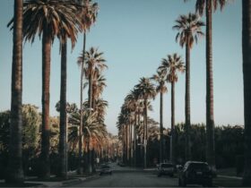 Self Defense In Beverly Hills: What The Law Says  #beverlyhills #beverlyhillsmagazine #lawenforcement #selfdefense #legalconsequences #criminalcourt #civillawsuit #selfdefenseinbeverlyhills