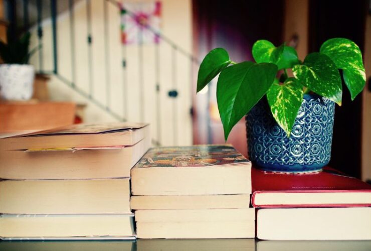 Six Steps To Becoming a College Professor #beverlyhills #beverlyhillsmagazine #teachingposts #teachingjob #collegeprofessor #advancededucation #academicresearch #bevhillsmag