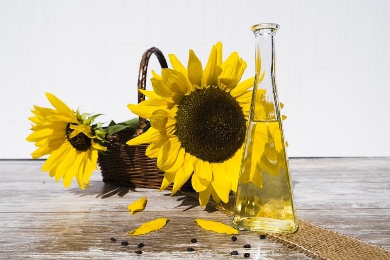 Sunflower Oil for Hair Treatment #beverlyhills #beverlyhillsmagazine #bevhillsmag #sunfloweroil #DIYsunfloweroil #hairtreatment #humanhair #maintainhealthystress