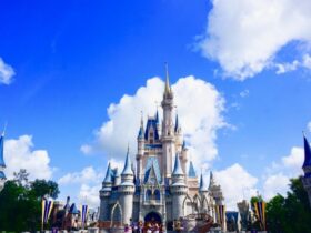 The All-In-One Guide to the Most Rewarding Florida Experience #florida #visit florida