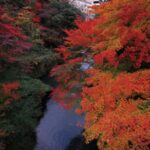 The Old Fashioned Road Trip Makes A Modern Comeback in Japan #beverlyhills #beverlyhillsmagazine #oldfashionedroadtrip #Japan #Japanesecuisine #Ishikawatourism #Kanazawa