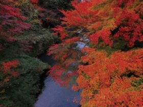 The Old Fashioned Road Trip Makes A Modern Comeback in Japan #beverlyhills #beverlyhillsmagazine #oldfashionedroadtrip #Japan #Japanesecuisine #Ishikawatourism #Kanazawa