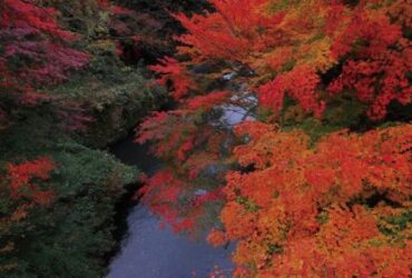The Old Fashioned Road Trip Makes A Modern Comeback in Japan #beverlyhills #beverlyhillsmagazine #oldfashionedroadtrip #Japan #Japanesecuisine #Ishikawatourism #Kanazawa