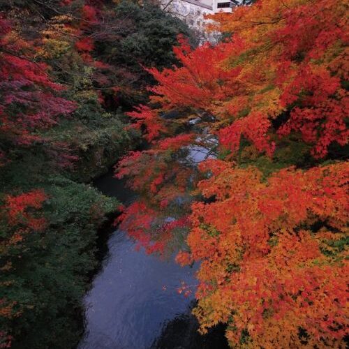 The Old Fashioned Road Trip Makes A Modern Comeback in Japan #beverlyhills #beverlyhillsmagazine #oldfashionedroadtrip #Japan #Japanesecuisine #Ishikawatourism #Kanazawa