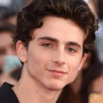Hollywood Spotlight: Timothée Chalamet #TimotheeChalamet, #HollywoodSpotlight, #Celebrities, #FilmStars, #MovieActors, #CinemaLovers, #HollywoodLife, #FilmIndustry, #AListActors, #CelebrityInterviews