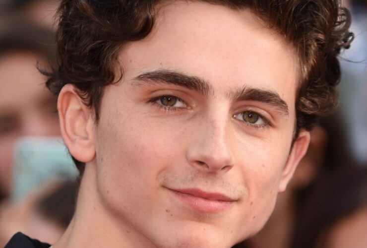 Hollywood Spotlight: Timothée Chalamet #TimotheeChalamet, #HollywoodSpotlight, #Celebrities, #FilmStars, #MovieActors, #CinemaLovers, #HollywoodLife, #FilmIndustry, #AListActors, #CelebrityInterviews