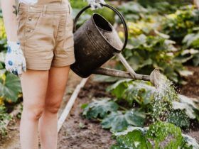 Tips For Sprucing Up The Garden In Your New Home #beverlyhills #beverlyhills #spruceupthegarden #gardenlights #lawn #greengarden
