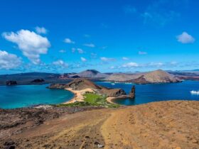 The Galapagos Islands #travel #ecuador #hotels #bevhillsmag #beverlyhillsmagazine #beverlyhills